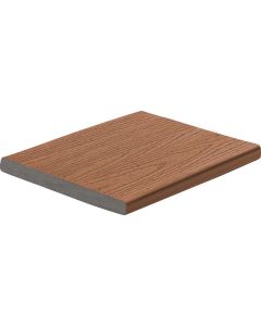 Trex Enhance Basics - Saddle - Fascia 1"x12"-12 