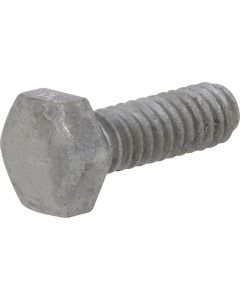 Hex Bolt - Galv - 1/4"x1"