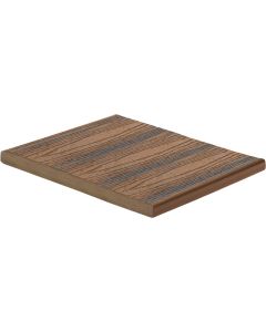 Trex Transcend - Spiced Rum - Fascia - 1"x12"-12